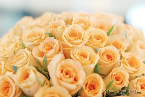 ѡ��������£�ڹ�Ϳ��������� (1)