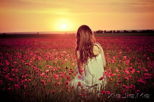 ��Ҫ�ñ��˵ı�׼�����Լ������� (8)