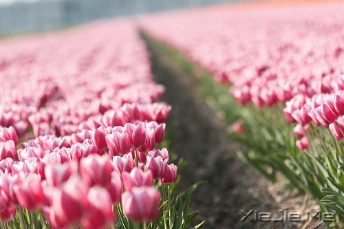 �簲������ʱ����Ե��ˣ�һ��Ҳ�Ͳ������ (8)