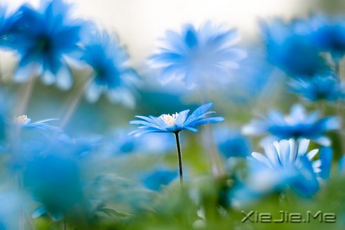 �簲�������ĺ�����ǳǳ��΢Ц (9)