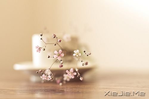�簲�����������룬����Ϊ����������� (10)