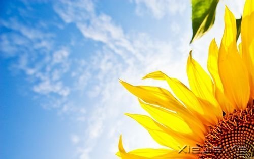 �簲�����δ���������������ǰ�һ���׸����� (1)
