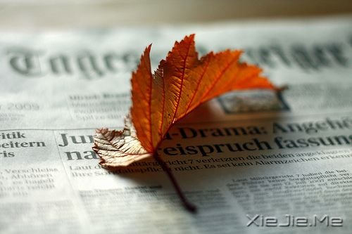����������ˣ������������Լ� (2)